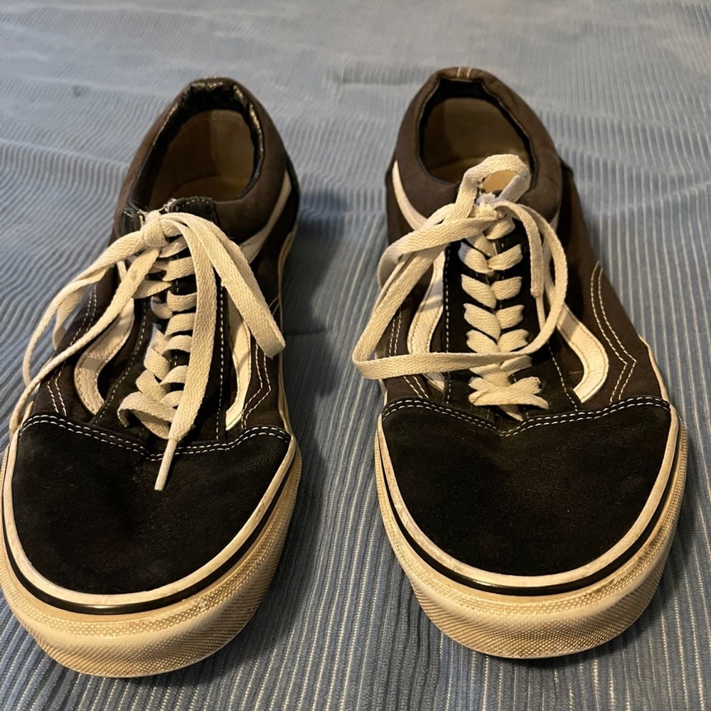 Van’s Classic Black Skate Sneakers with White Stripe